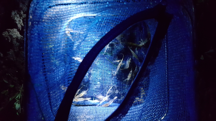 item_64160_1500012829.jpg