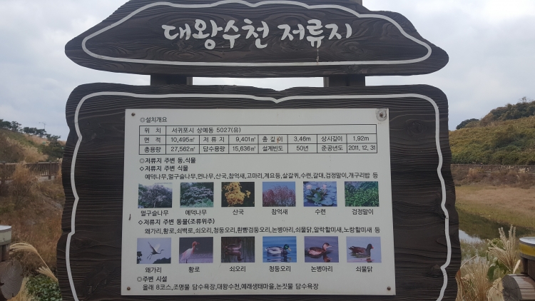 item_33720_1513580626.jpg