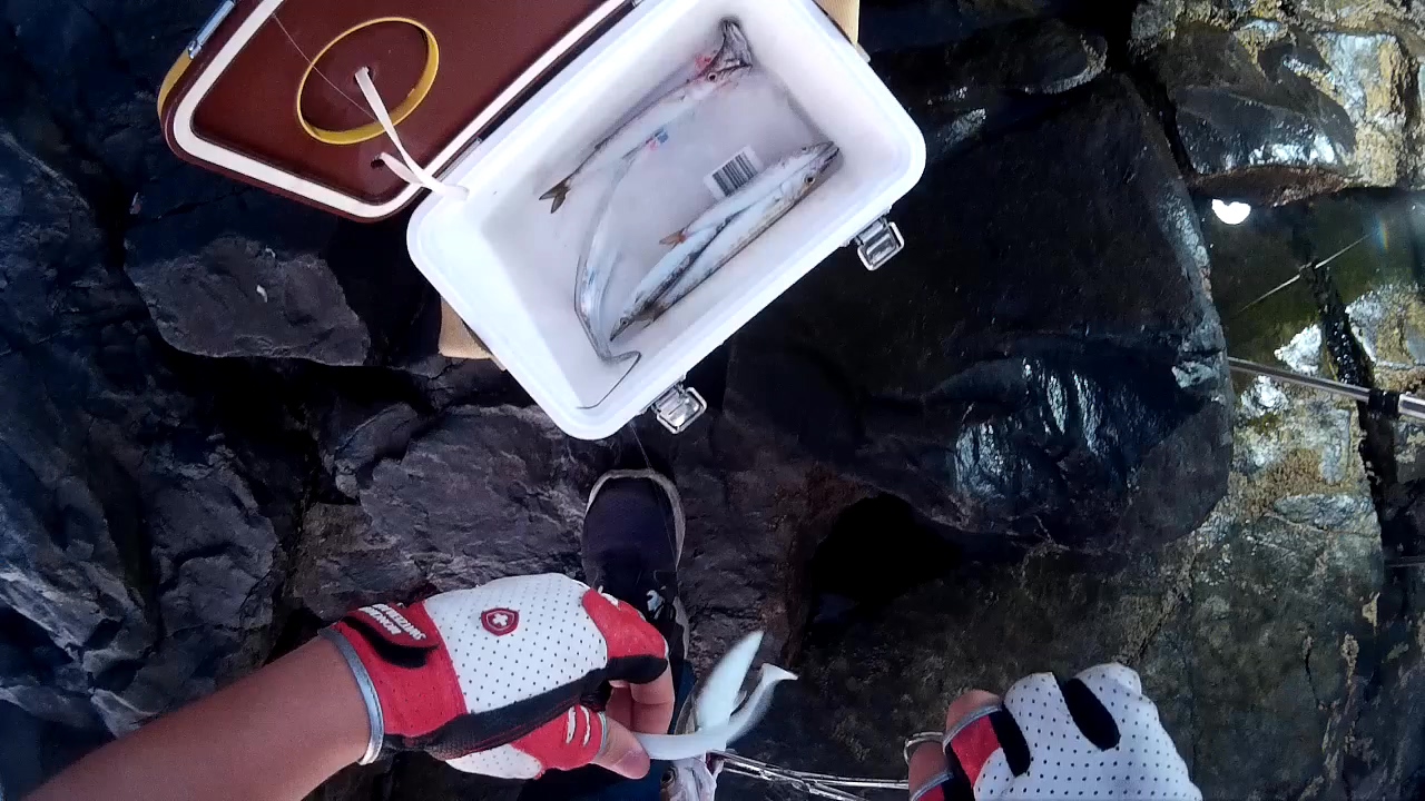 15510003.MOV_20140915_113934.864.jpg