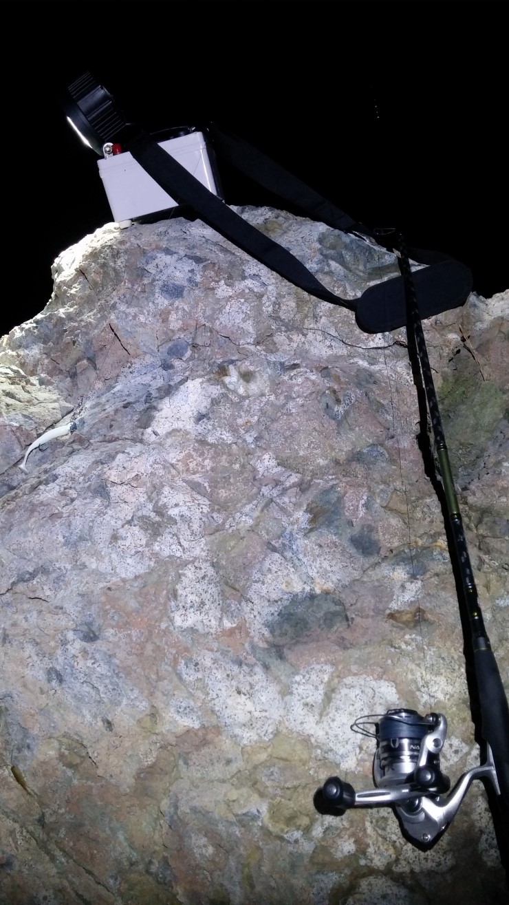 20140917_013651.jpg