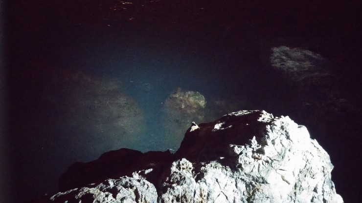 20140917_020837.jpg