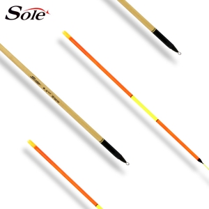 ǽ  ָ   SF-05 ǰ̹